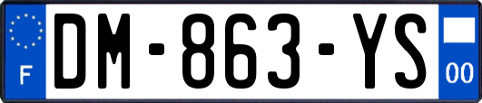 DM-863-YS