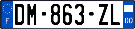 DM-863-ZL