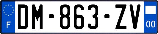 DM-863-ZV