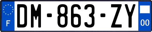 DM-863-ZY