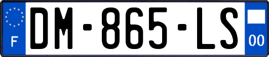 DM-865-LS