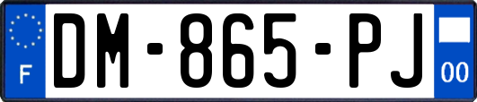 DM-865-PJ