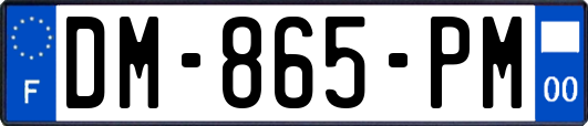 DM-865-PM