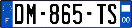 DM-865-TS