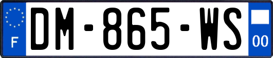 DM-865-WS