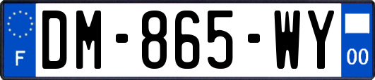 DM-865-WY