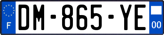 DM-865-YE