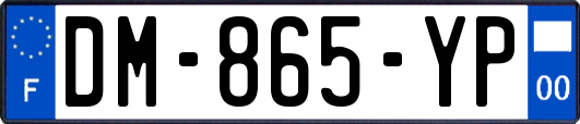 DM-865-YP