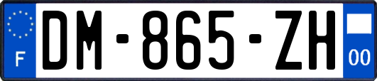 DM-865-ZH