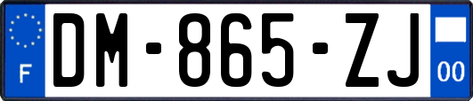 DM-865-ZJ