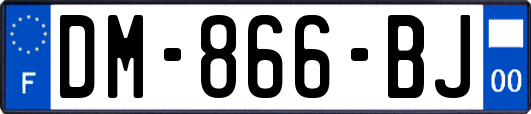 DM-866-BJ