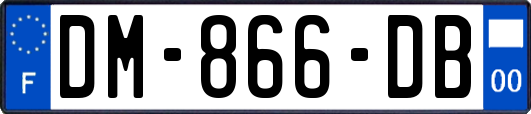 DM-866-DB