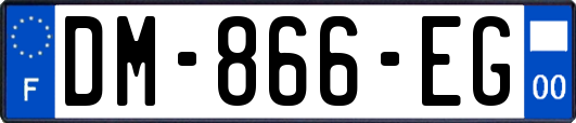 DM-866-EG