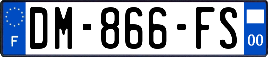 DM-866-FS