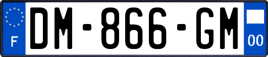 DM-866-GM