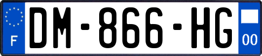 DM-866-HG