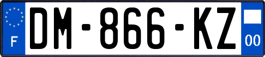 DM-866-KZ