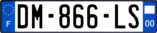 DM-866-LS