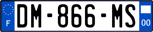 DM-866-MS
