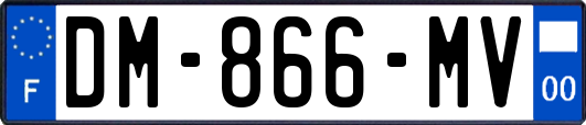 DM-866-MV