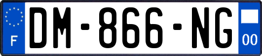 DM-866-NG