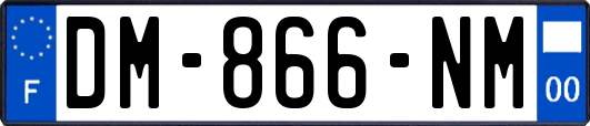 DM-866-NM