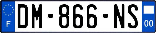 DM-866-NS