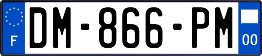 DM-866-PM