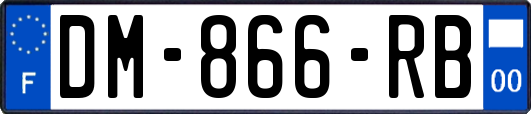 DM-866-RB