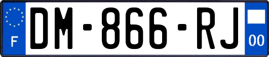 DM-866-RJ