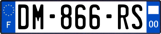 DM-866-RS