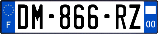 DM-866-RZ