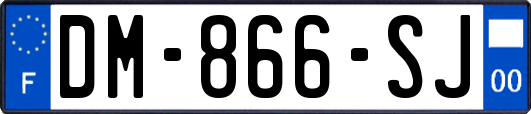 DM-866-SJ