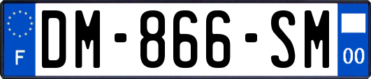 DM-866-SM