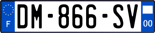 DM-866-SV