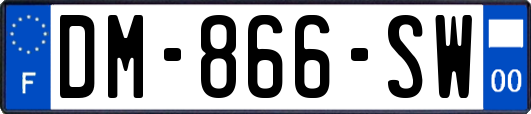 DM-866-SW
