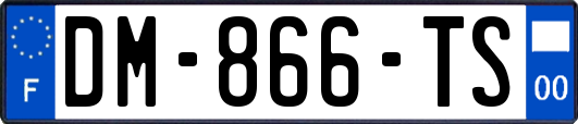 DM-866-TS