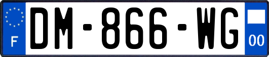 DM-866-WG