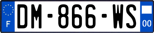 DM-866-WS