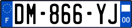 DM-866-YJ