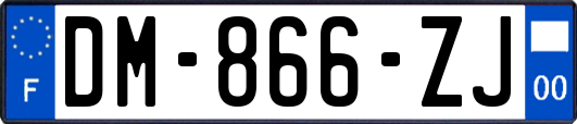 DM-866-ZJ