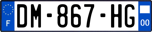 DM-867-HG