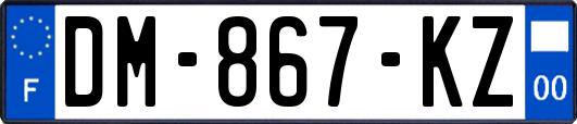 DM-867-KZ