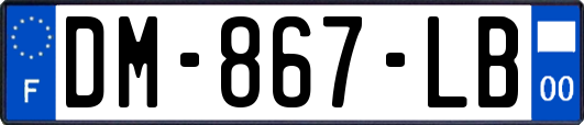 DM-867-LB