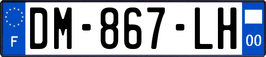 DM-867-LH