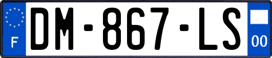 DM-867-LS