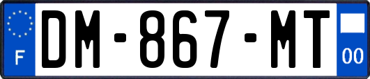 DM-867-MT