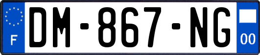 DM-867-NG