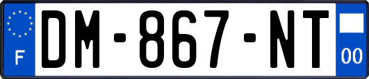 DM-867-NT