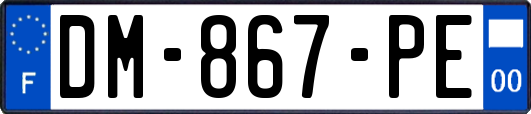 DM-867-PE